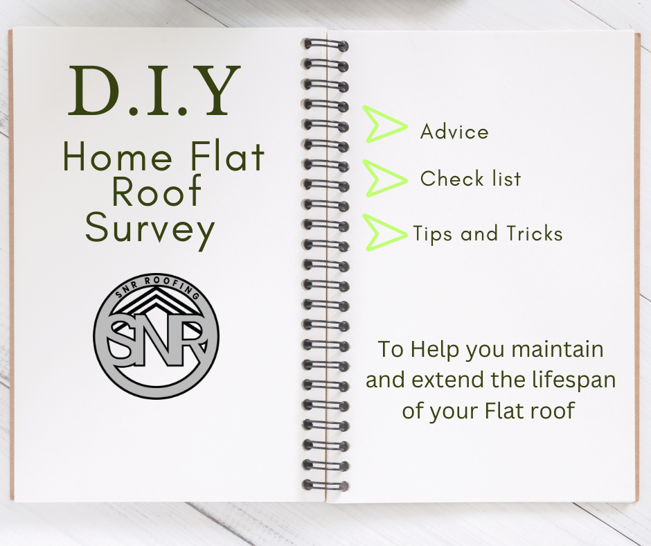 Flat roof survey